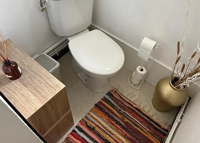 Apartment T2 Tour Des Anglais, Chu, Place Rochefoucauld *